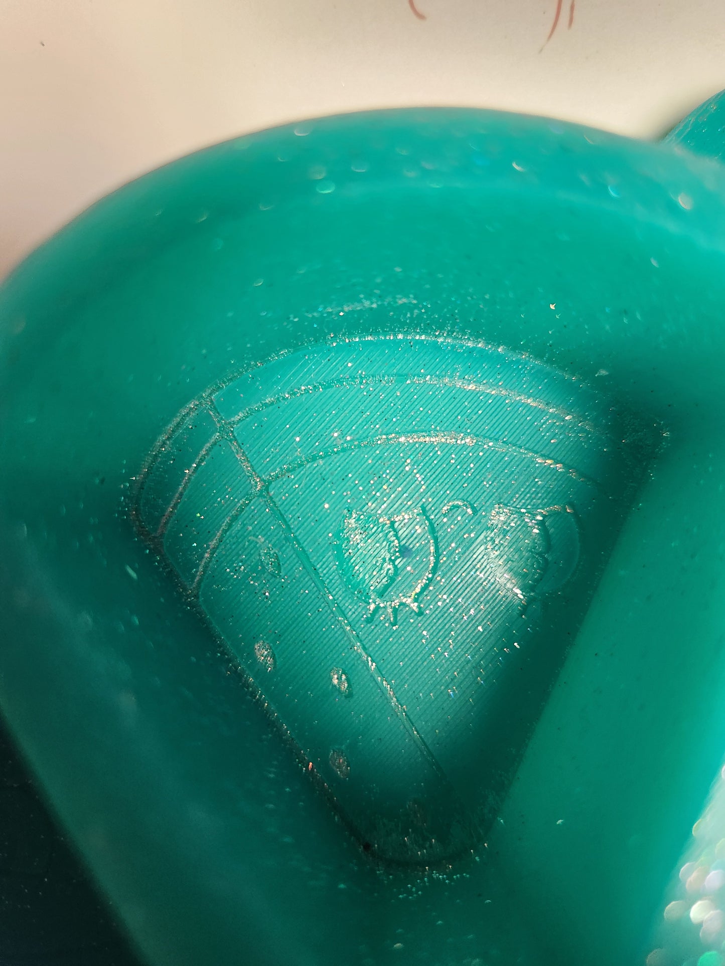 Custom Freshie- Watermelon Vent Clips