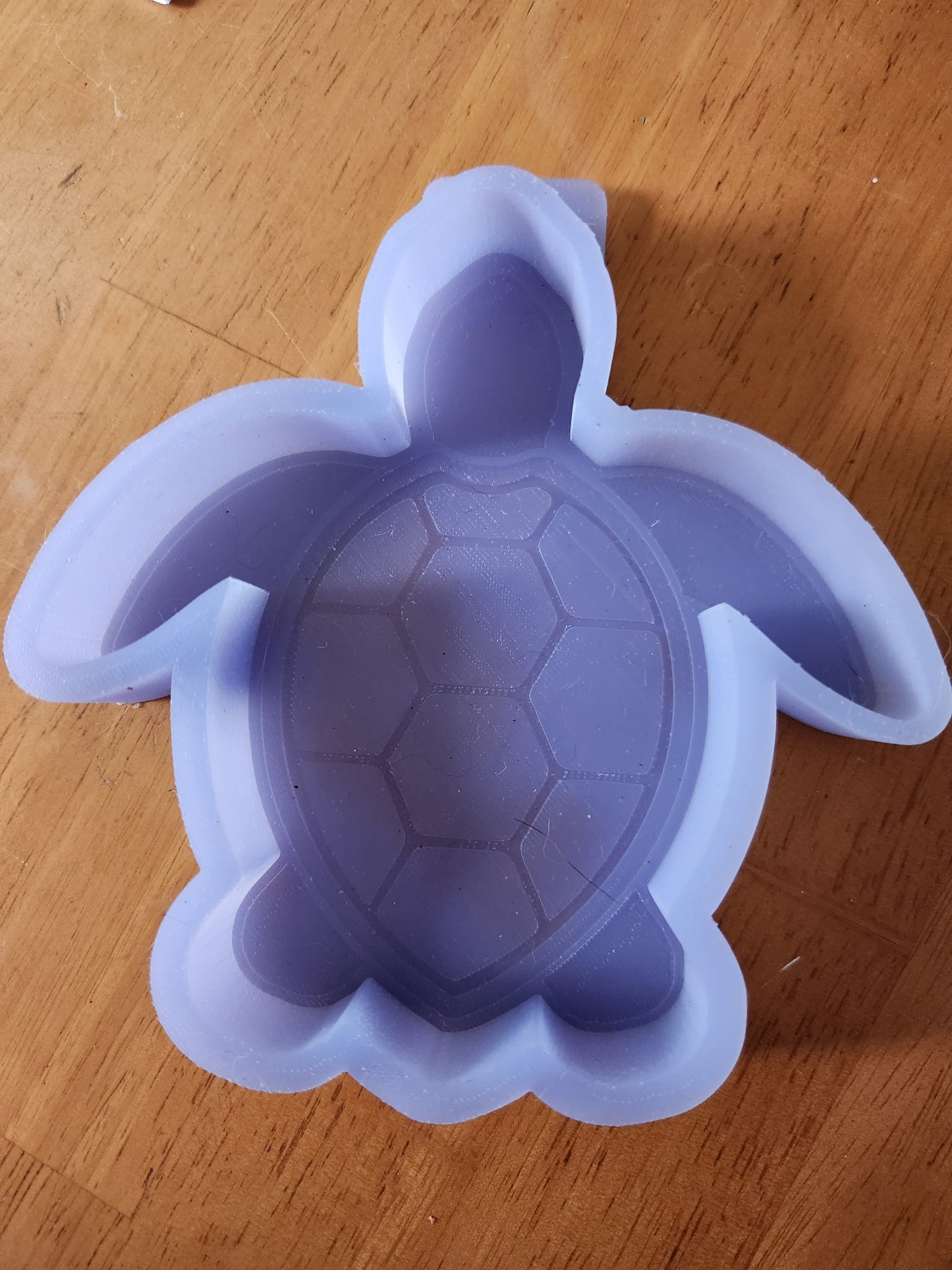 Custom Freshie - Turtle