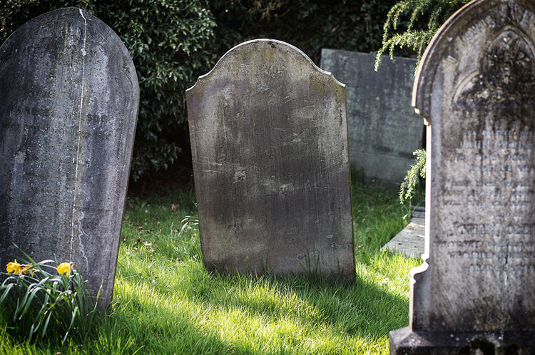 Grave Yard Cups