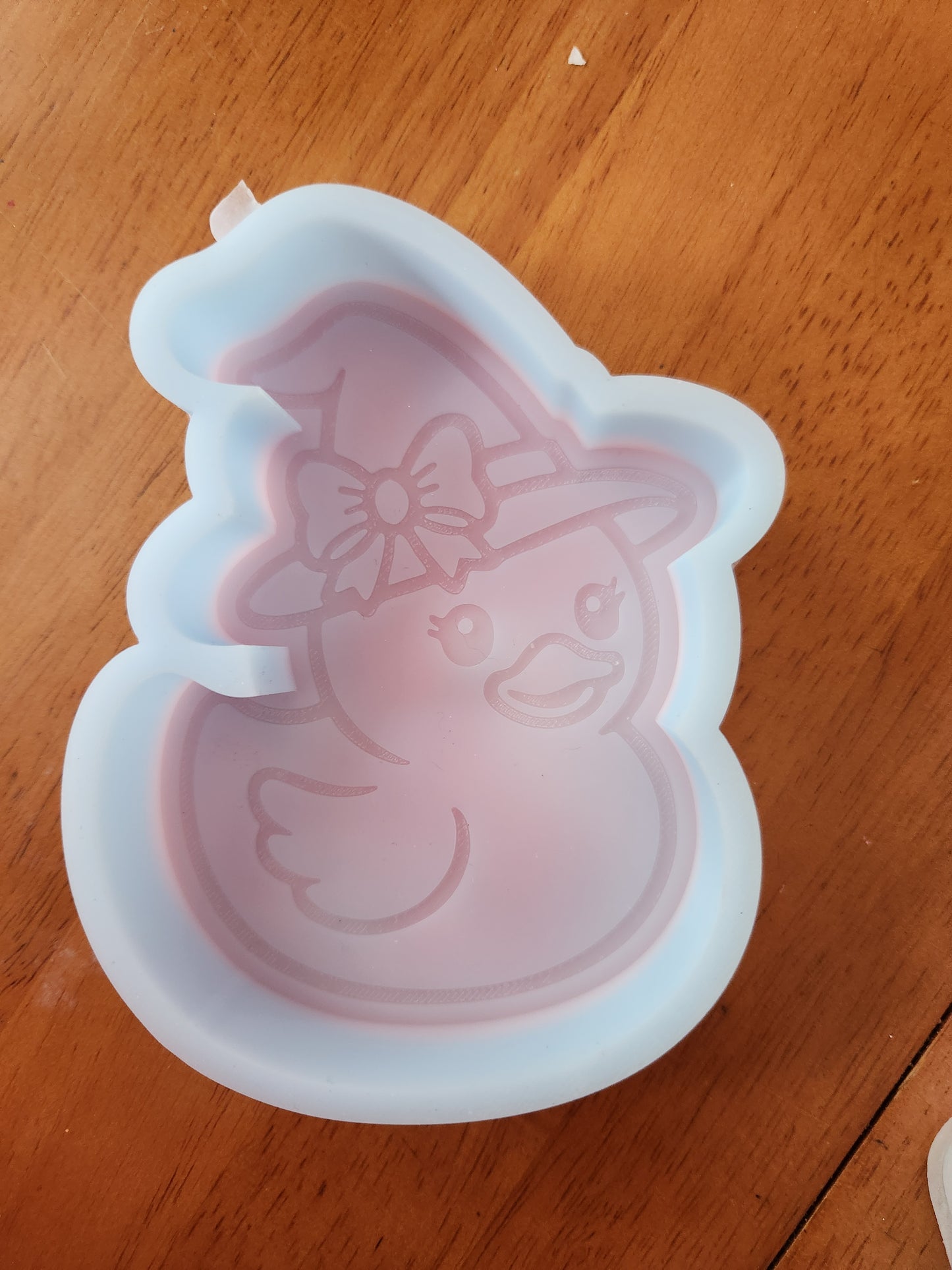 Custom Freshie- Witchy Duck