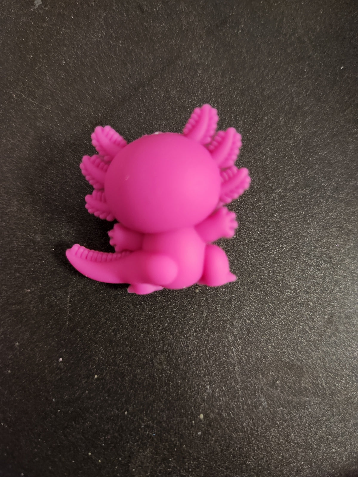 3D Silicone Focal- Axolotl (Pink)