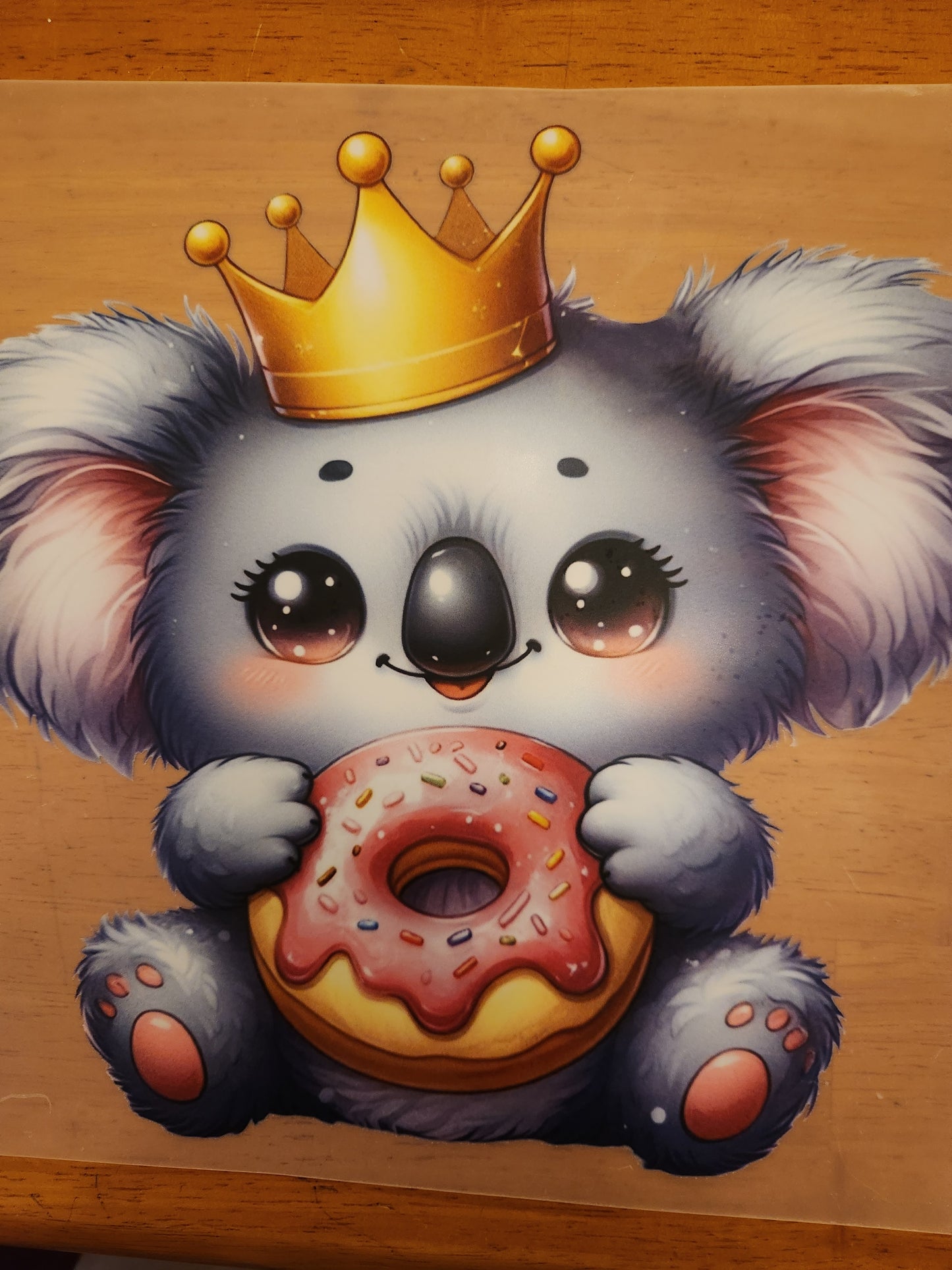 Heat Transfer- Koala