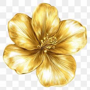 PRE ORDER Golde  Mystery Flower Choices