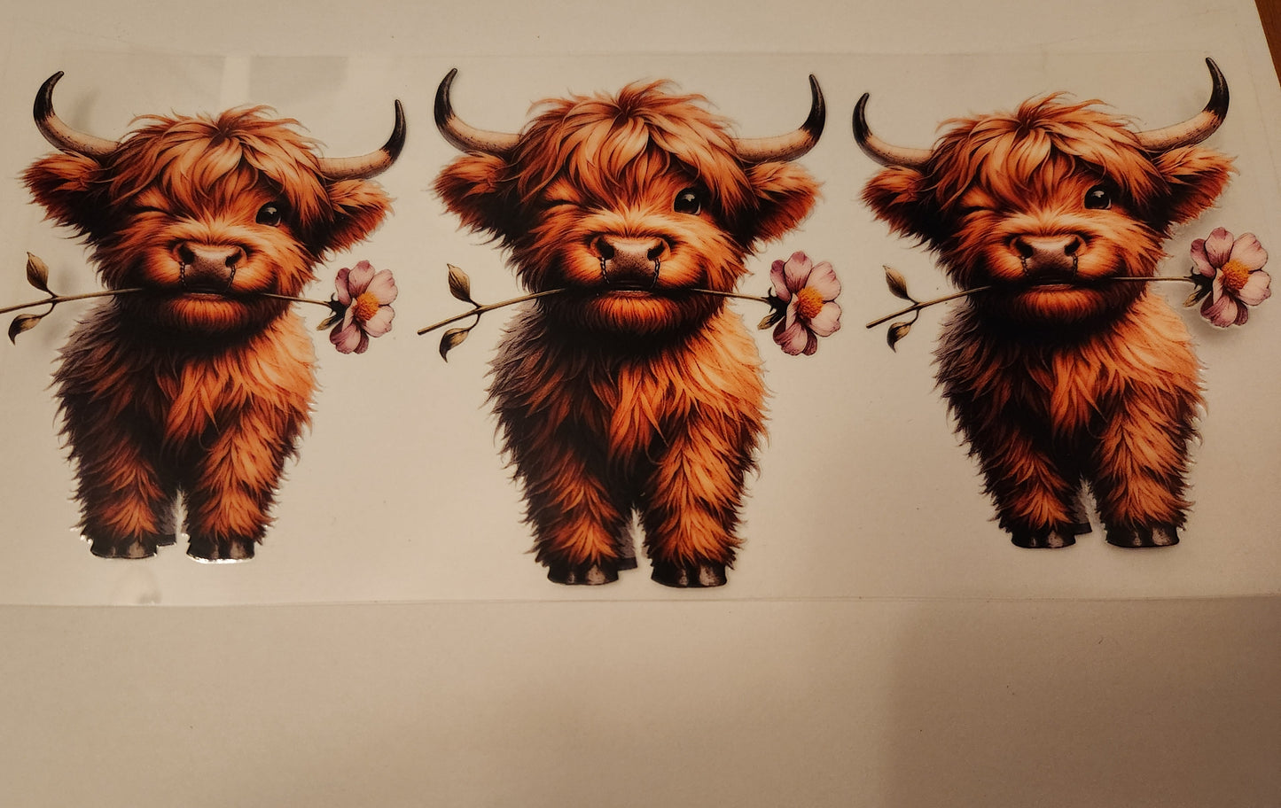 UVDTF Wrap- 16oz Adorable Cows