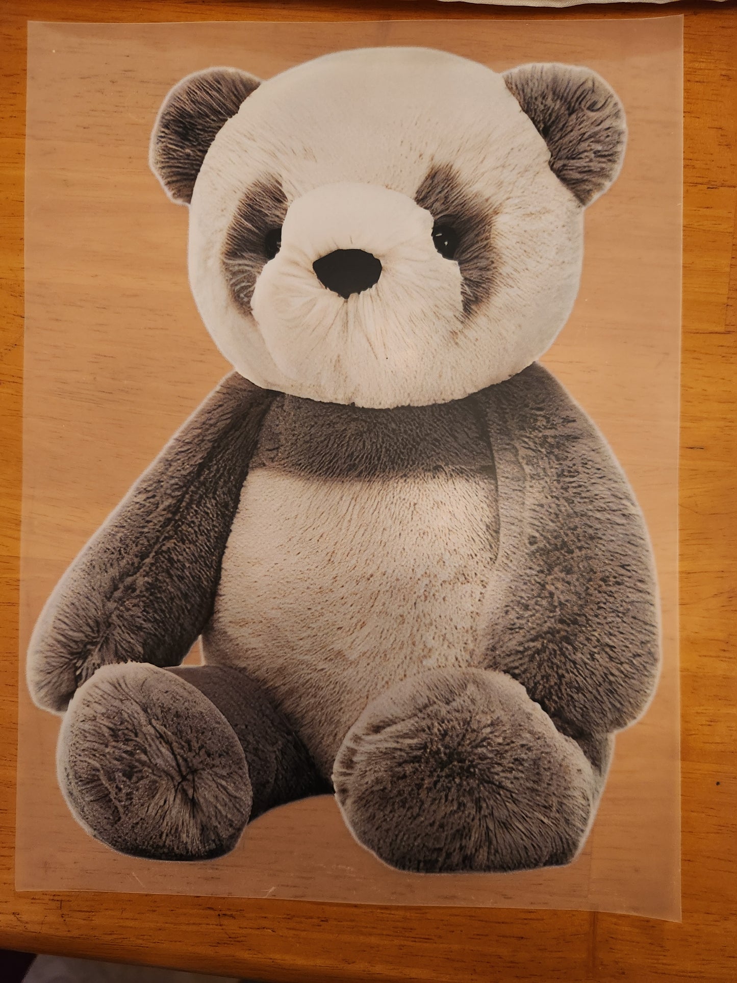 Heat Transfer- Stuffed Animal